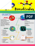 Infografía Biomoléculas - Jesús Ramírez - Luis Guillen