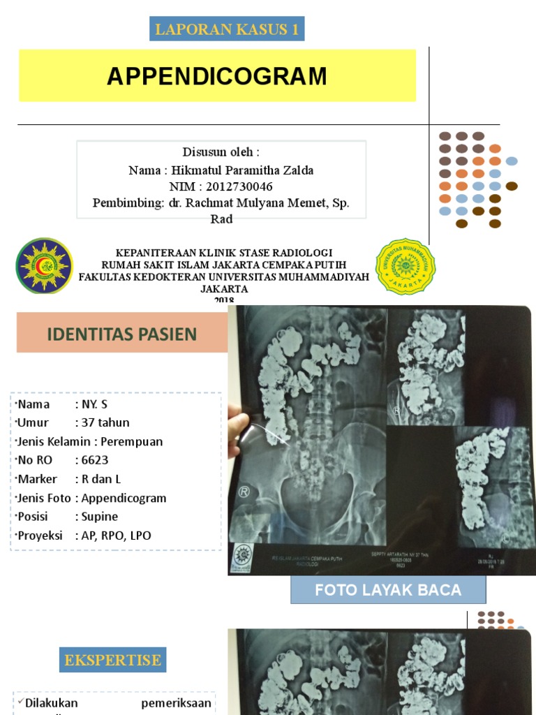 Porno Rokko murabbiy