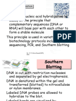 PCR & Primer Desging