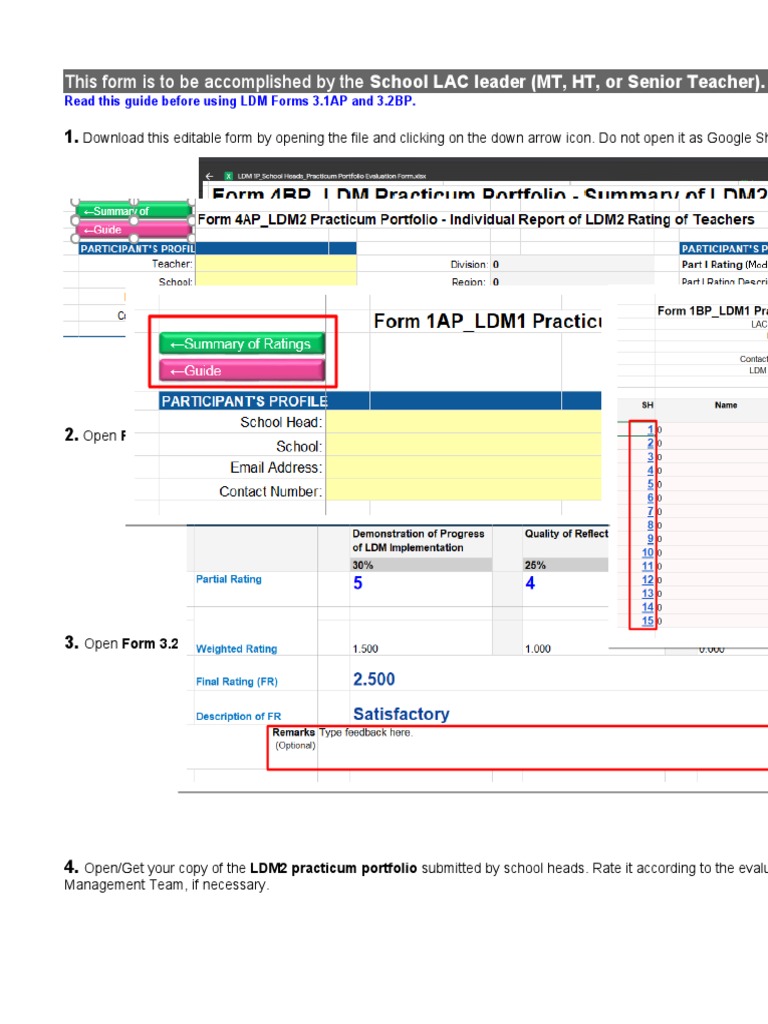 LDM Forms 3.1AP & 3.2BP User Guide | PDF | Computing | Computing And ...