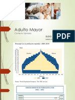 Adulto Mayor Salud Comunitaria