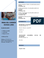 207 Curriculum Vitae Primer Trabajo