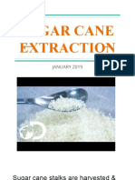 Sugar Cane Extraction: JANUARY 2019