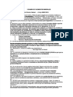 Examen de Yacimientos Minerales 200911