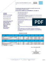 Informe Pepas Tropicales-Independiente