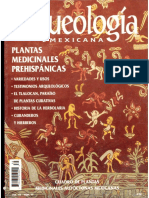 39 Cuadro de Plantas Medicinales Autóctonas Mexicanas+