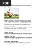 Download 5 Cara Seksi Bakar Kalori by i0n313 SN51586303 doc pdf