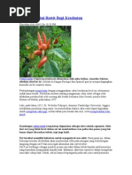 Download Manfaat Cabai Rawit Bagi Kesehatan by Nofhyza Yurmi SN51586533 doc pdf