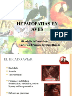 Hepatopatías en Aves