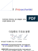 다당류 (Polysaccharide)
