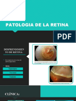 Diapositvas de Retina