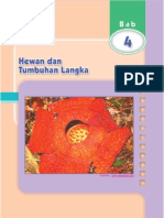 05 Ipa - 6 - SD 4 PDF