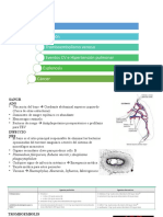 Complicaicones Posoperatorias Esplenectomía