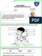 Ciencia y Ambiente. 