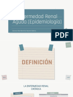 Enfermedad Renal Crónica