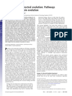 Pathways As SPEC BRAINSPEC and Direct Ev Potentials