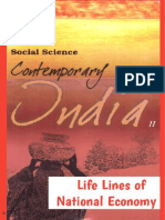 Life Lines of The Indian Economy