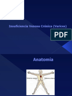 24.1 Insuficiencia Venosa Crónica