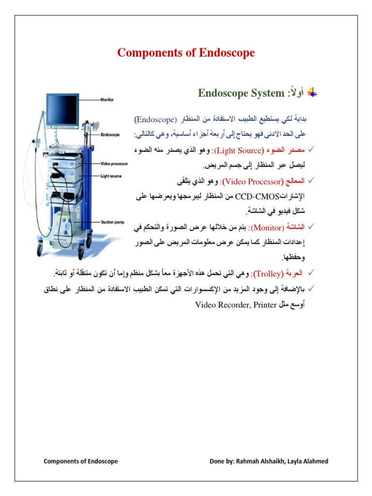 Components of Endoscope 1625094116 | PDF