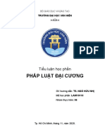 tiểu luận pháp luật đại cương 1