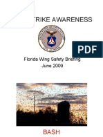 Bird Strike Awareness: Florida Wing Safety Briefing June 2009