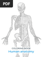 Neuroanatomy Coloring Book - Anatomy Academy | PDF | Human Brain ...