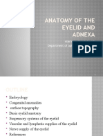 Anatomy of The Eyelid and Adnexa: Alemnew Demissie, MD Department of Ophthalmology, UOG December 2013