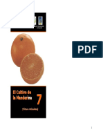 2005, El Cultivo de La Mandarina, G