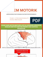 Sistem Motorik