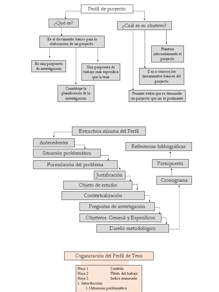 Guía Completa para el Perfil de Proyecto | PDF | Dialéctico | Teoría