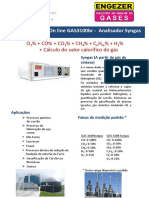 Presentation Syngas  on line analyzers new