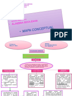 Mapa Mental Proceso Booleano