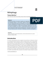 Mitophagy. Essays in Biochemistry