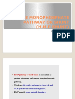 Hexose Monophosphate Pathway or Shunt