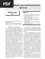 A Descoberta Dos Cromossomos Sexuais