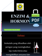 02 ENZIM&hoRMON