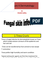 Lecture 4 Dermatology: DR Khaled Sobhy