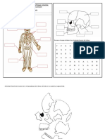 Ficha Naturales Sistema Oseo