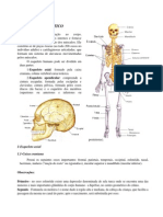 Anatomia Humana - Sistema Esquelético