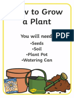 How To Grow A Plant Posters