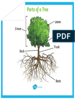 t2 T 846 Parts of A Tree Poster