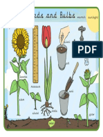 Seeds and Bulbs Word Mat Precursive
