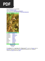 Download Soybean by Ogladee-Kay Emmanuel koded-guy SN51595723 doc pdf