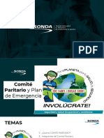 9. Comite Paritario Plan de Emergencia (1)