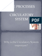 Life Processes Circulatory System