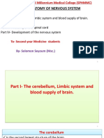 Cerebellum, Limbic System, Blood Supply and Skull