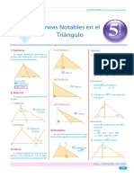 Guía 5-Lineas Notables Triangulo