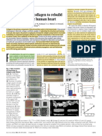 3D Bioprinting of Collagen To Rebuild Components of The Human Heart