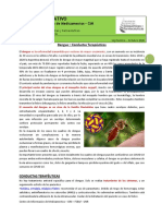 Cim249 Dengue Conductas Terapeuticas