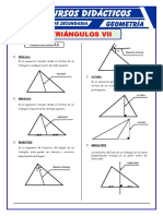 Triángulos y líneas notables